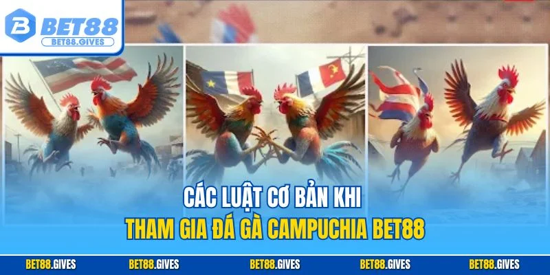 Các luật cơ bản khi tham gia đá gà Campuchia BET88