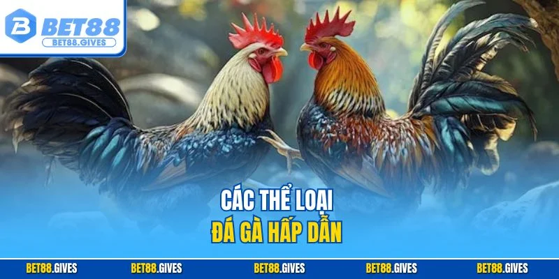 Các thể loại đá gà hấp dẫn