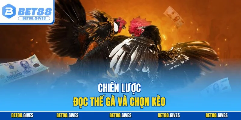Chiến lược đọc thế gà và chọn kèo
