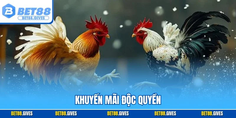 Khuyến mãi độc quyền