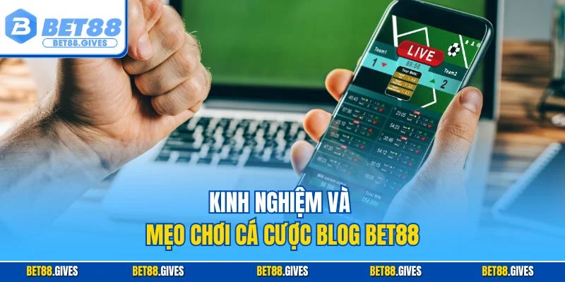 Kinh nghiệm và mẹo chơi cá cược Blog BET88